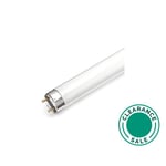 تصفية ج.ي لايتنغ - لمبة، 6 وات، فلورسنت، ضوء النهار thumbnail 2