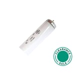 تصفية ج.ي لايتنغ - لمبة، 20 وات، فلورسنت، تشغيل سريع، أبيض بارد thumbnail 2