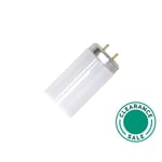 تصفية ج.ي لايتنغ - لمبة، 20 وات، فلورسنت، تشغيل سريع، ابيض دافئ، امريكا thumbnail 2