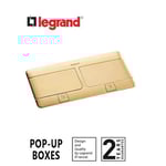 LEGRAND - Pop-Up Box to Be Equipped, 2 x 4 Modules, Brushed Brass thumbnail 2