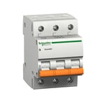 SCHNEIDER - 10A Relay Output, 250V, Screw Clamp, For Relay RXM2, RXM4 thumbnail 3