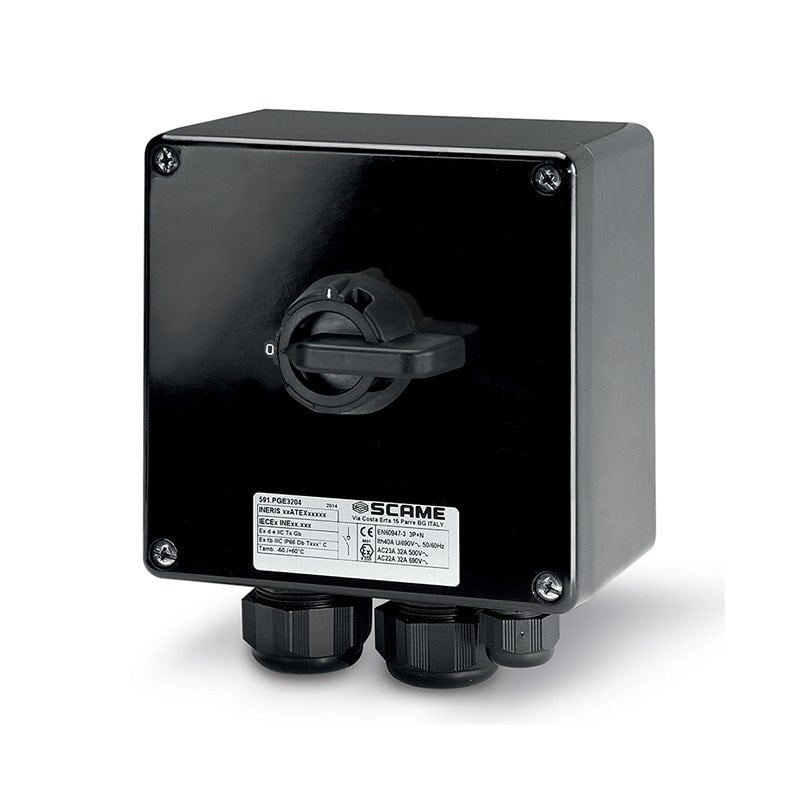 SCAME - Enclosed Switch Disconnector, 63A, 2P, IP66, 250x255x120mm, II 2GD, GRP, General, Grey - 2