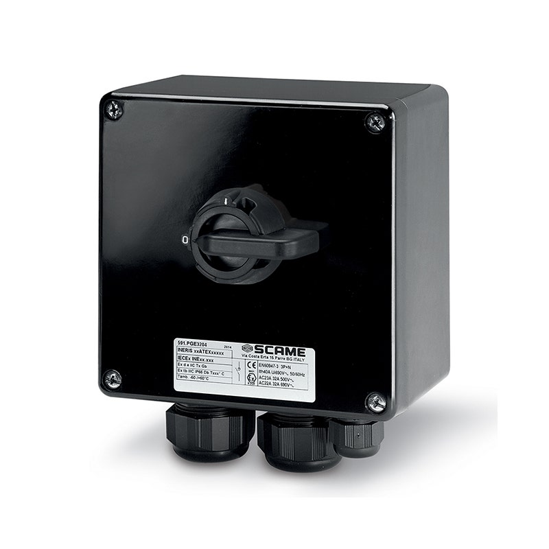 SCAME - Enclosed Switch Disconnector, 63A, 3/4P, IP66, 250x255x120mm, II 2GD, GRP, General Grey - 1